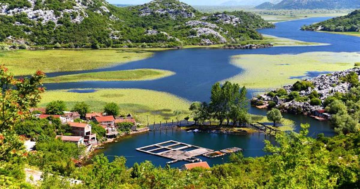 Plan putovanja kroz Crnu Goru za 14 dana: Itinerar za nezaboravan odmor 1 Skadarsko jezero