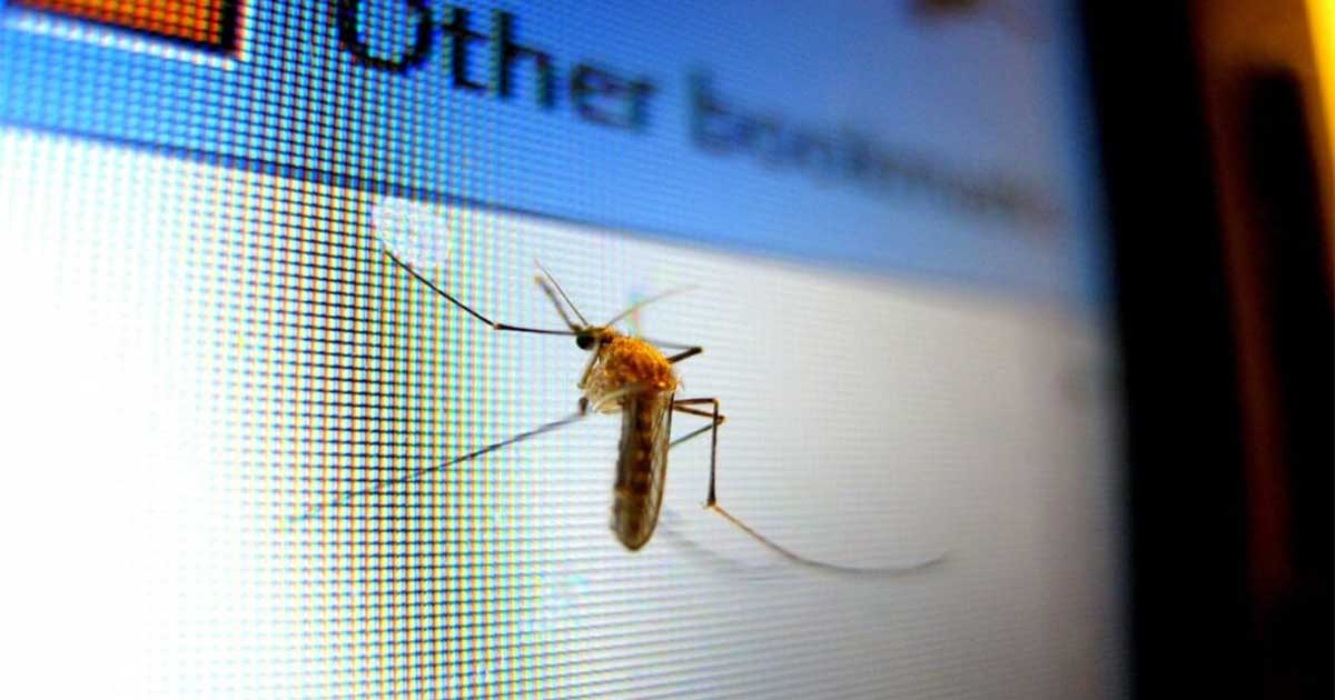 TOP 10 najučinkovitijih uređaja protiv komaraca s AliExpressa 1 Uređaji protiv komaraca