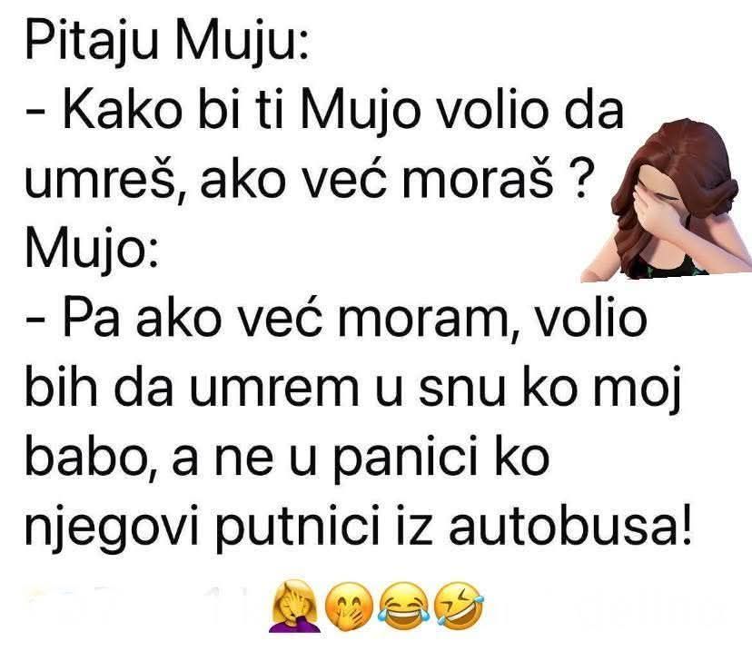 Mujo i babo vozač autobusa